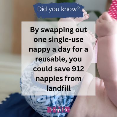 Swapping One Disposable Nappy A Day